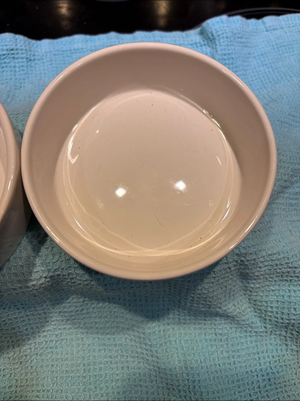 Rae Dunn Pet Dishes Gulp and Sip